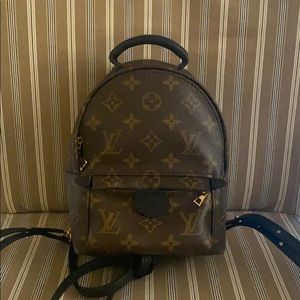 Brand New Louis Vuitton Palm Spring Mini